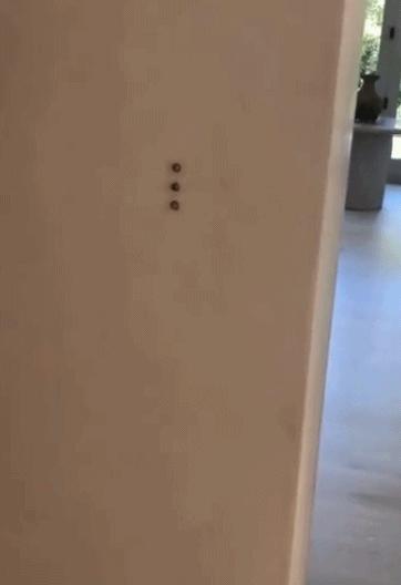 两处豪宅价值数亿真是让人羡慕,价值100个亿的一套豪宅是怎么样