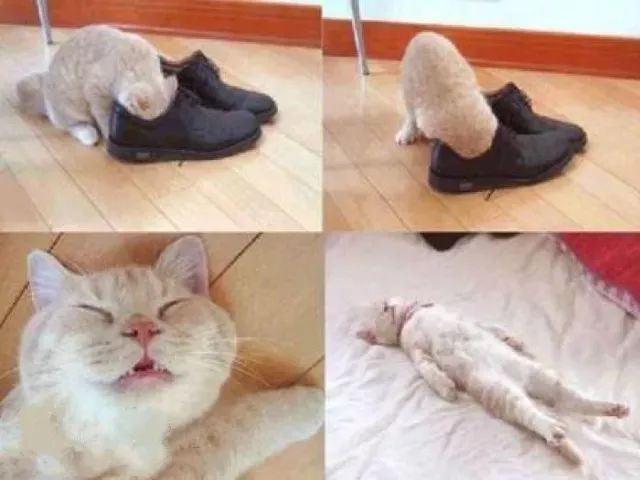 脚气脚臭脱皮克星,分享一个根治脚气脚臭方法