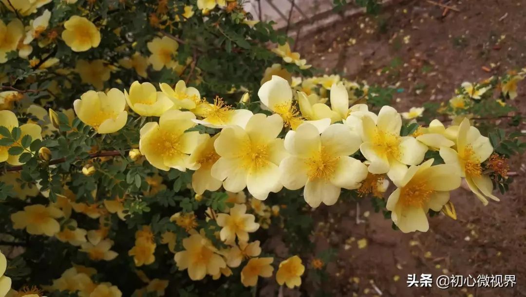 “我在卡塔尔，波澜壮阔的大海中央，奋斗着！为国争光！”丨我的青春宣言