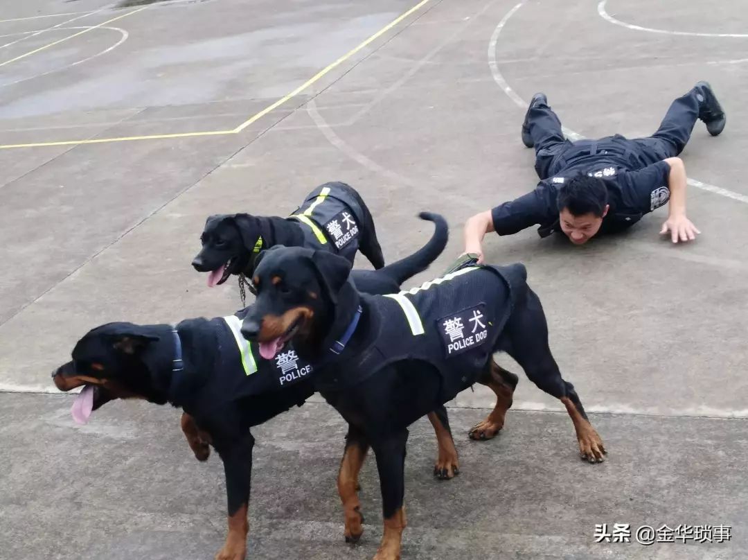 “我在卡塔尔，波澜壮阔的大海中央，奋斗着！为国争光！”丨我的青春宣言