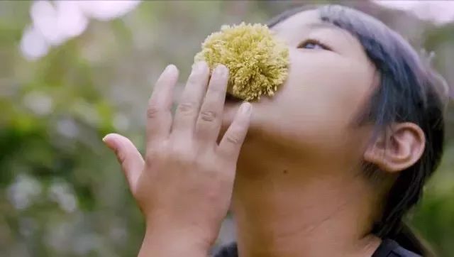 凌晨私奔、一夫六妻，水果圈的戏码你根本想不到