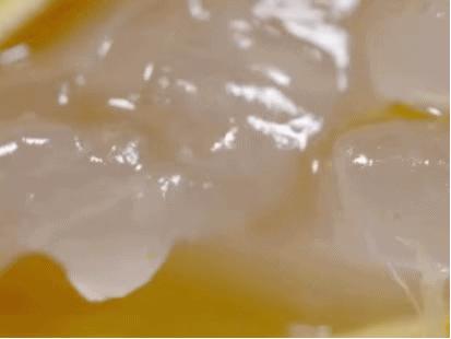 凌晨私奔、一夫六妻，水果圈的戏码你根本想不到