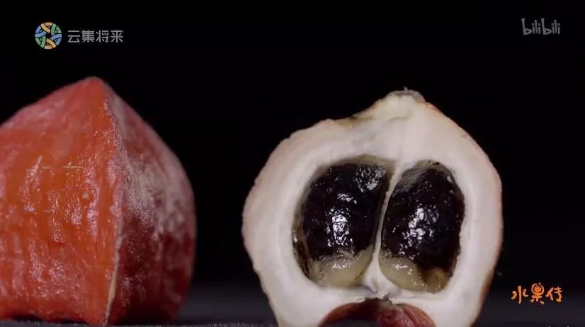 凌晨私奔、一夫六妻，水果圈的戏码你根本想不到