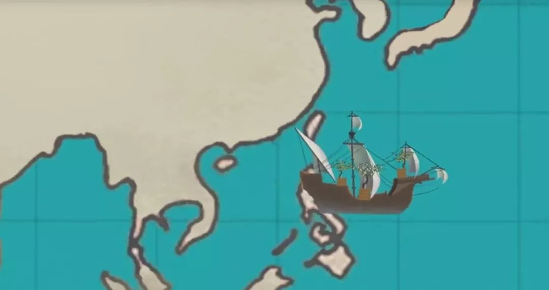 凌晨私奔、一夫六妻，水果圈的戏码你根本想不到