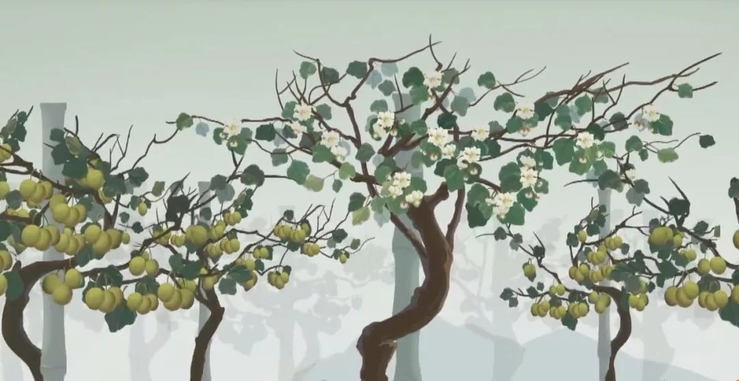 凌晨私奔、一夫六妻，水果圈的戏码你根本想不到