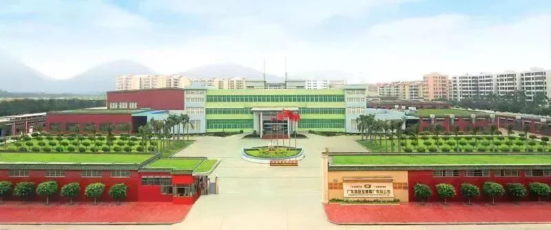 砥砺70年！四会这家成了企业中的“小巨人”，全国都有名气！