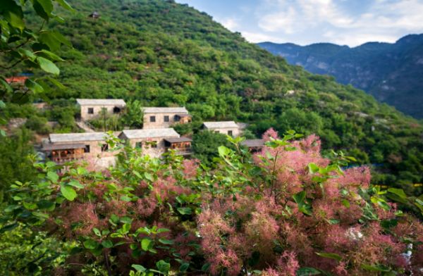 昌平人五一去哪儿玩?20条京郊游精品线路个个精彩!