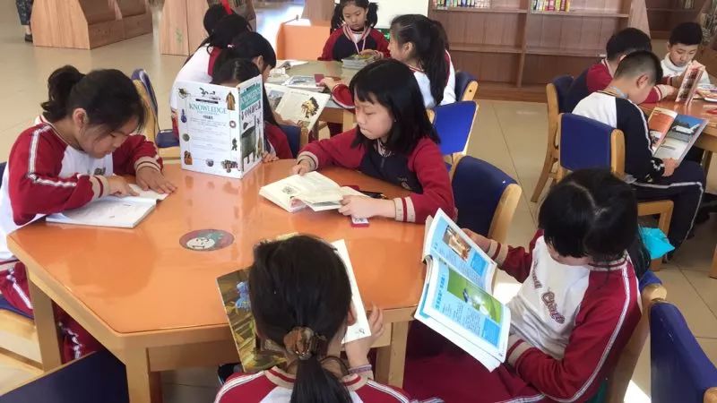 孩子小升初择校的文案,孩子优秀小升初择校的文案