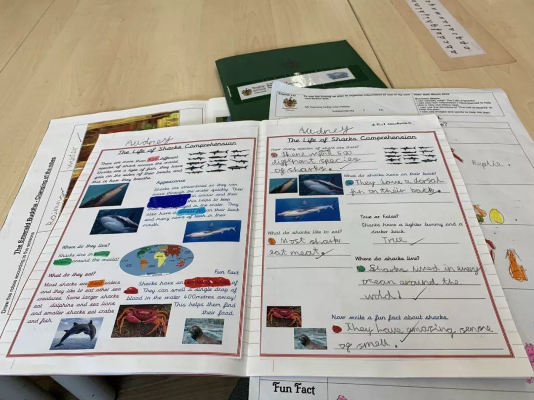 孩子小升初择校的文案,孩子优秀小升初择校的文案