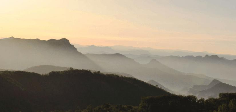 济南老人自驾游好玩的地方,济南野生动物园自驾游从哪个门进
