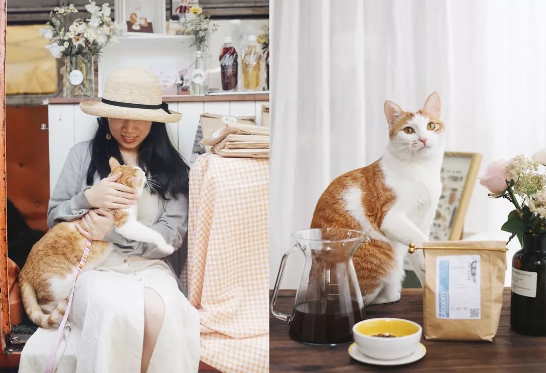 市集|拎着这只9.9元的宜家购物袋,你就是咖啡市集最靓的仔