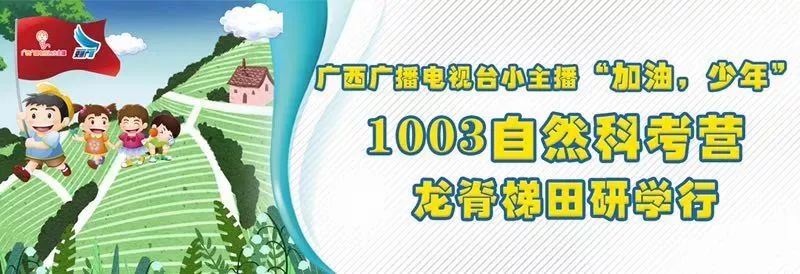 南宁方特三天两晚,南宁方特怎样才免费