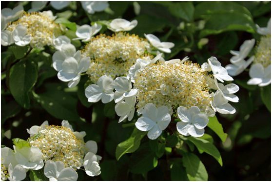 上海外滩五一景点,五一上海哪个景点最火爆