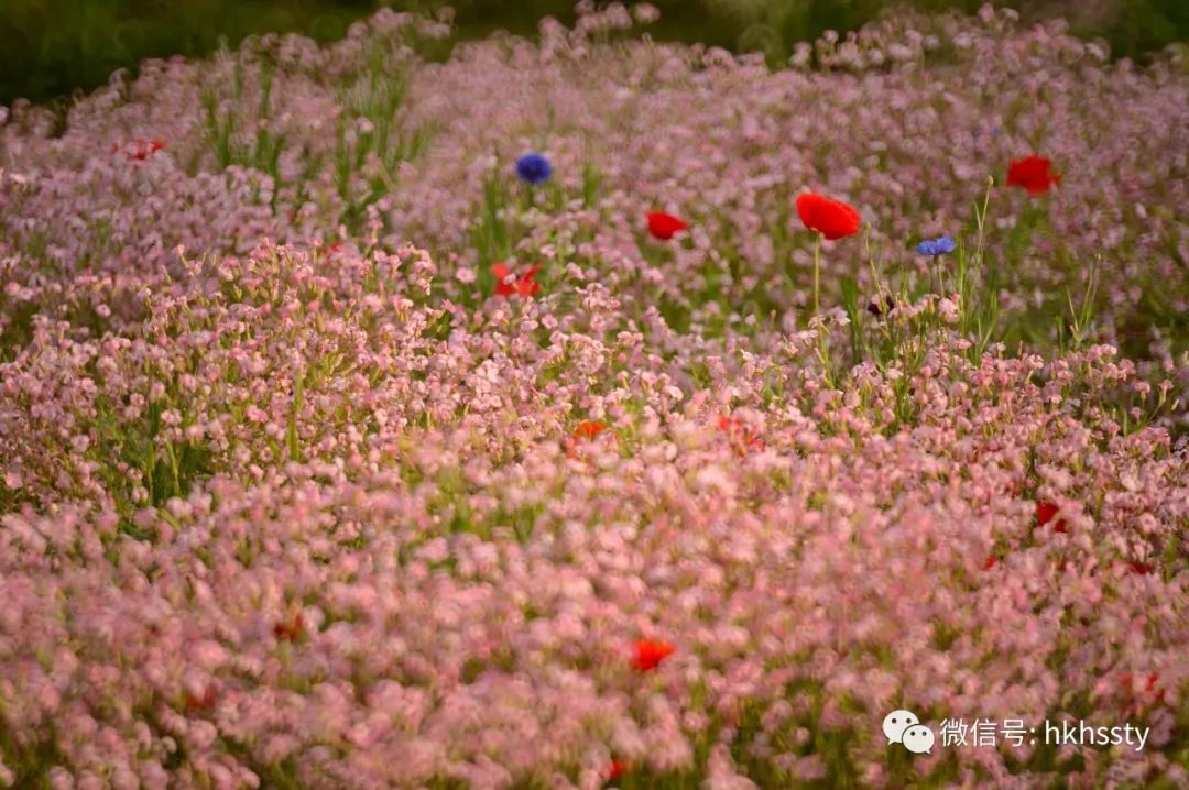 上海外滩五一景点,五一上海哪个景点最火爆