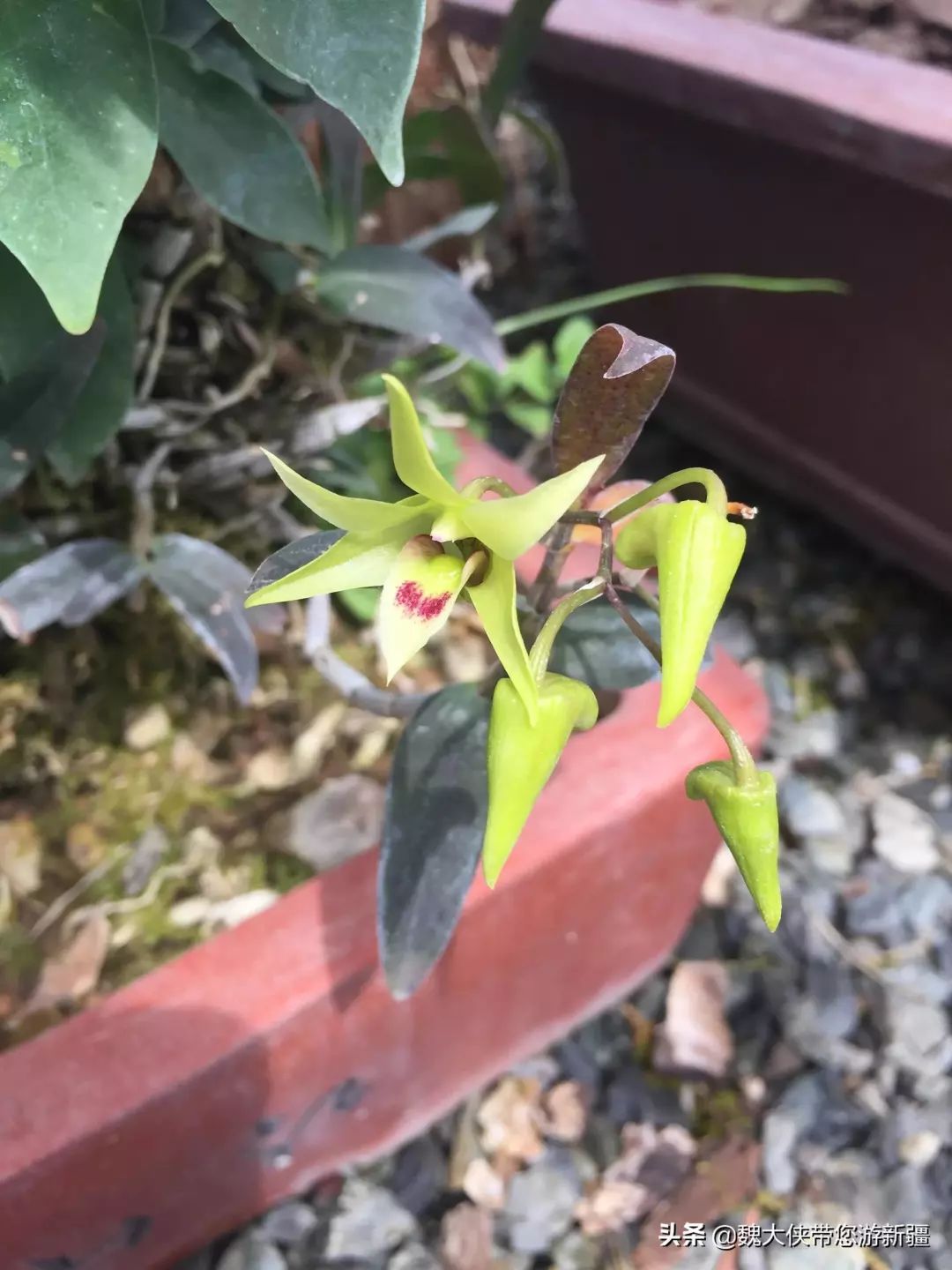 游达坂城视频大全,达坂城古城游览