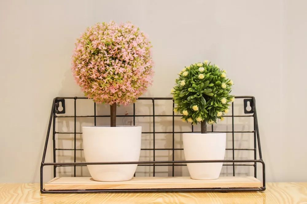 买一送一网红热卖新品,临沂南坊朱记臭豆腐