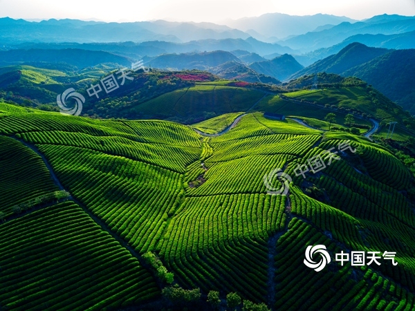 来到天然氧吧四明山,四明山森林氧吧步道