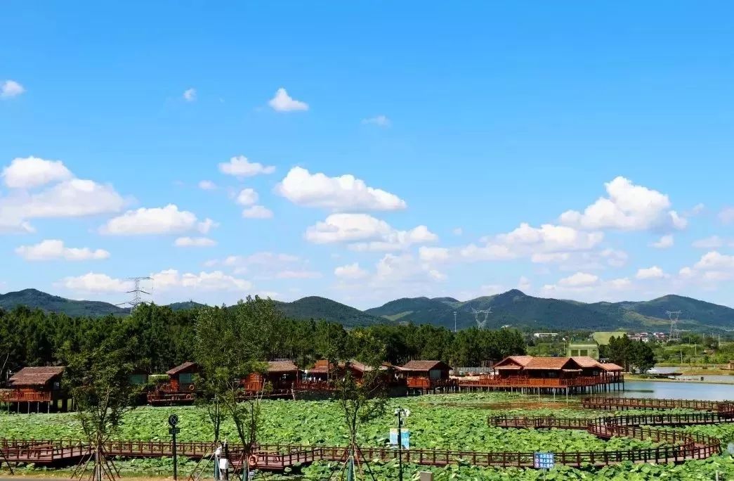 姹傚鐢熸棩娲惧甯冪疆,姹傚鍛婄櫧鐢熸棩娲惧甯冪疆