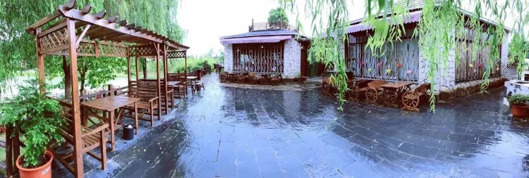 姹傚鐢熸棩娲惧甯冪疆,姹傚鍛婄櫧鐢熸棩娲惧甯冪疆