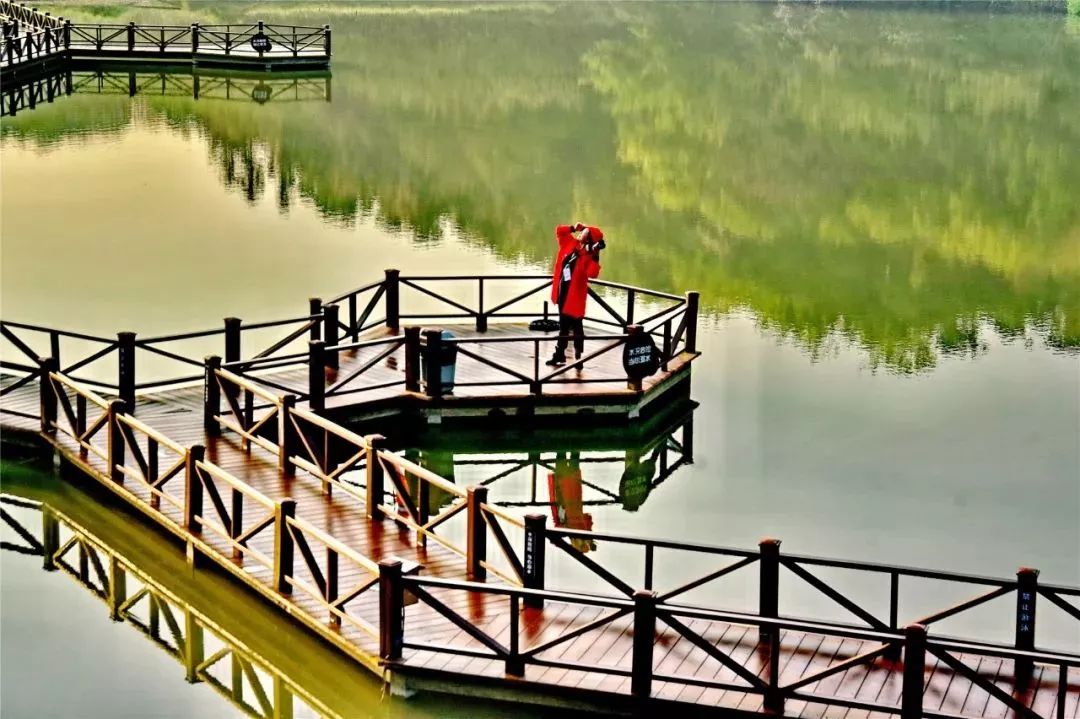 姹傚鐢熸棩娲惧甯冪疆,姹傚鍛婄櫧鐢熸棩娲惧甯冪疆