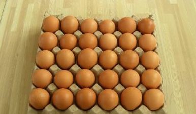 每天吃几个熟鸡蛋最好,如何挑鸡蛋什么样的鸡蛋吃了好