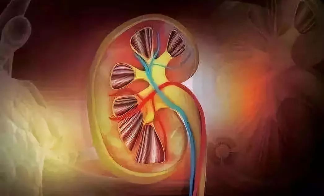 又到了吃樱桃的季节专家提醒,樱桃季吃樱桃