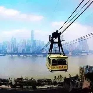 樱桃用盐水泡出虫子还能吃吗,樱桃有虫子还能吃吗快来看看