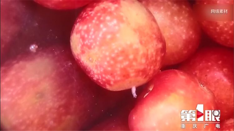 樱桃用盐水泡出虫子还能吃吗,樱桃有虫子还能吃吗快来看看