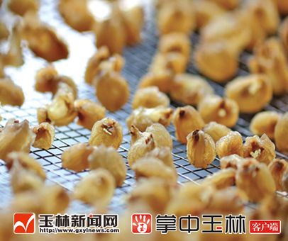 快来打call！柳州螺蛳粉”、“南宁香蕉”等9个广西特产上榜了，受国家保护