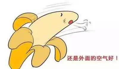 阴道炎复发率高,阴道炎老是复发喝中药能好吗