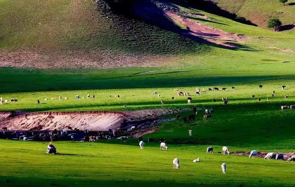 能坐火车出国去哪些国家旅游,出国坐火车必去的五个地方