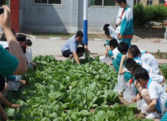小学里的“大空间”，让课程成为孩子们童年的“甲板”