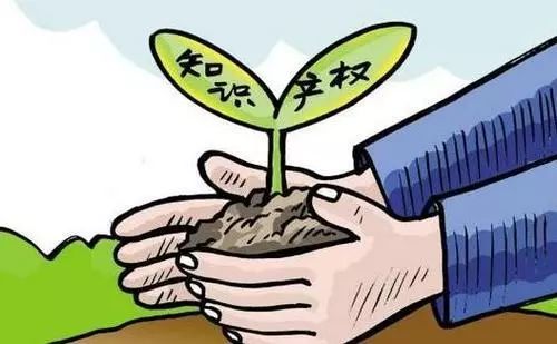 小黄鸭山寨与正宗,假的小黄鸭视频