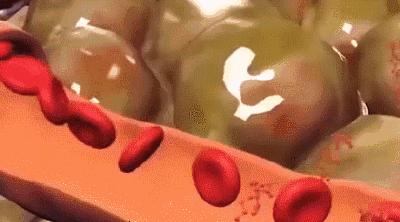 【精选好物】滚一滚,全身缩水小一圈!明星都爱的淋巴按摩仪,滚出小蛮腰、小V脸