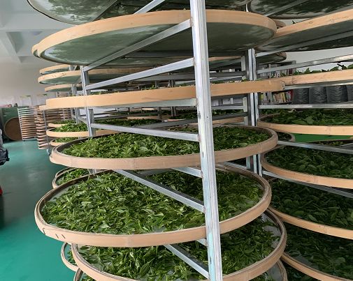 今天全省百名记者聚集永康，看他们如何用新媒体秀出丽州美