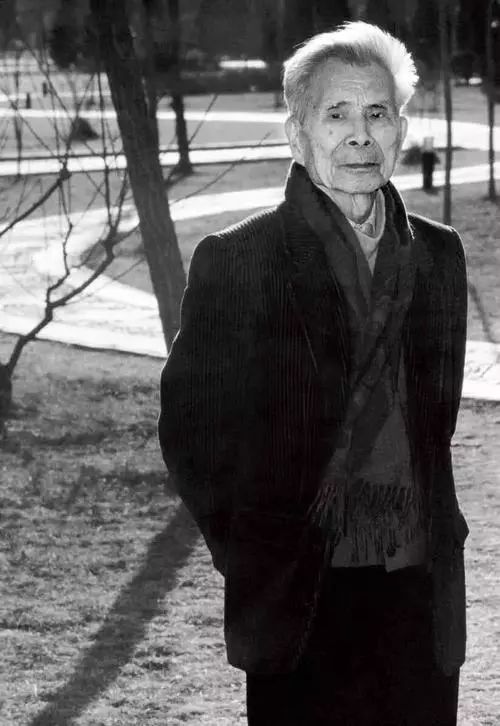 吴冠中的风筝不断线啥意思,吴冠中的风筝不断线作品欣赏