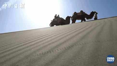 美国女孩梦想,美国小女孩梦想