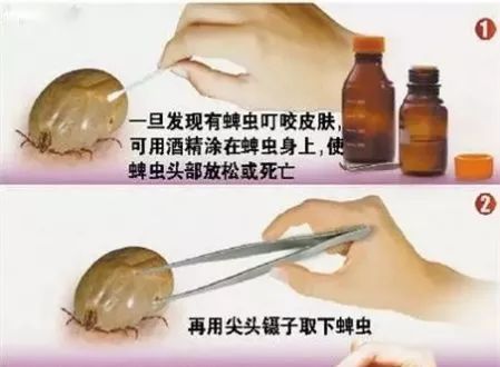 眼皮上长了个凸起小疙瘩有小黑点,2岁下眼皮忽然有个小黑点