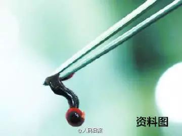 眼皮上长了个凸起小疙瘩有小黑点,2岁下眼皮忽然有个小黑点