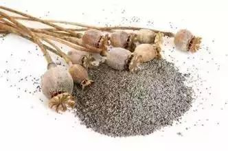 这个“偏方”能治病?上饶两位村民在自家菜地种植这种植物被抓…