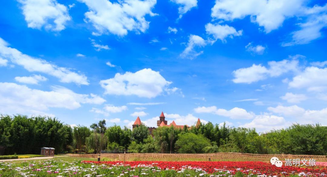来一场说走就走的旅行来云南看雪,来一场说走就走昆明云南之旅