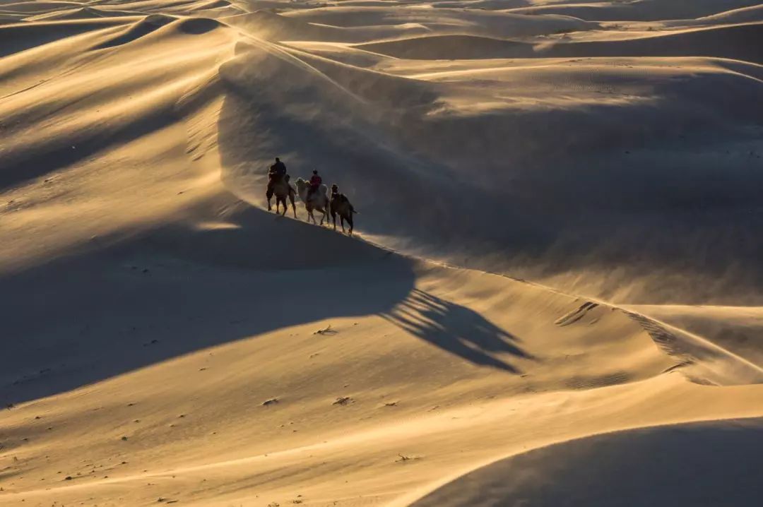 通辽文化旅游季来啦！赏花、踏青、采摘……让你嗨个够！