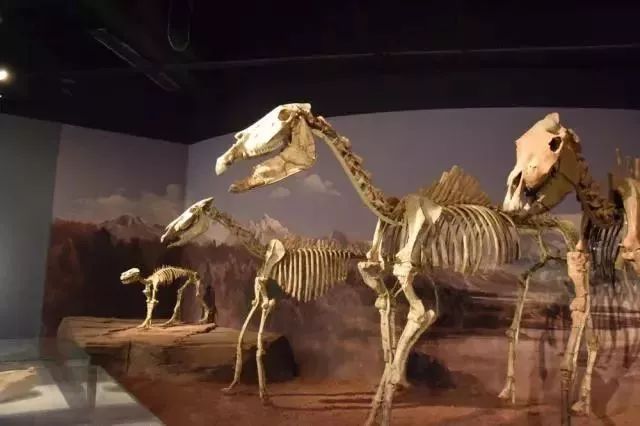 汉口里有什么活动吗,汉口白天儿童旅游攻略