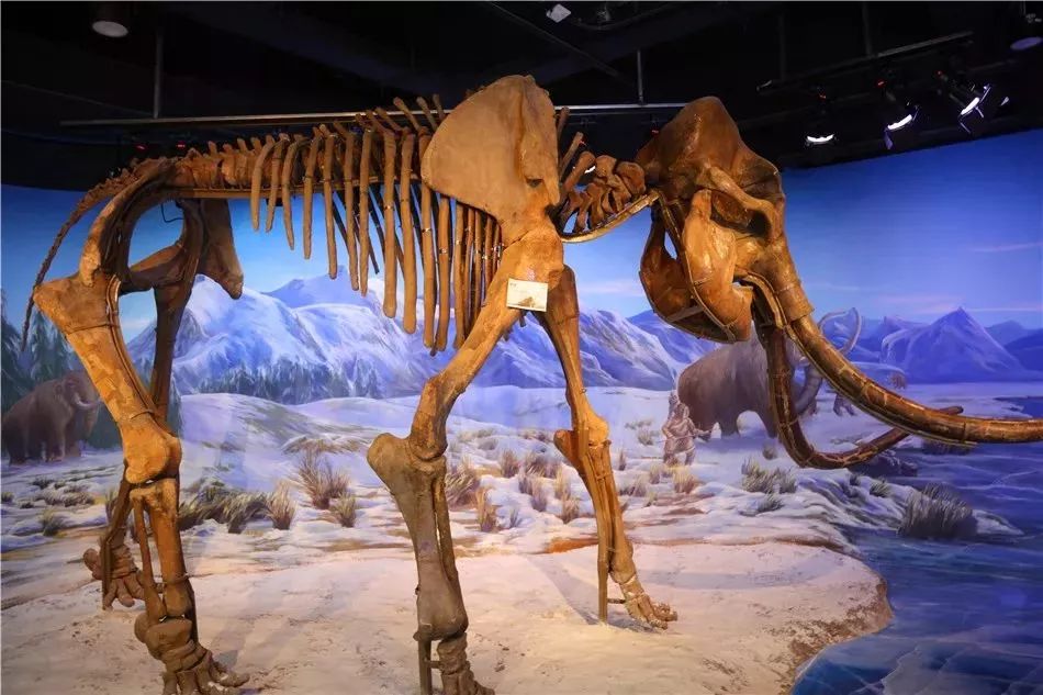 汉口里有什么活动吗,汉口白天儿童旅游攻略