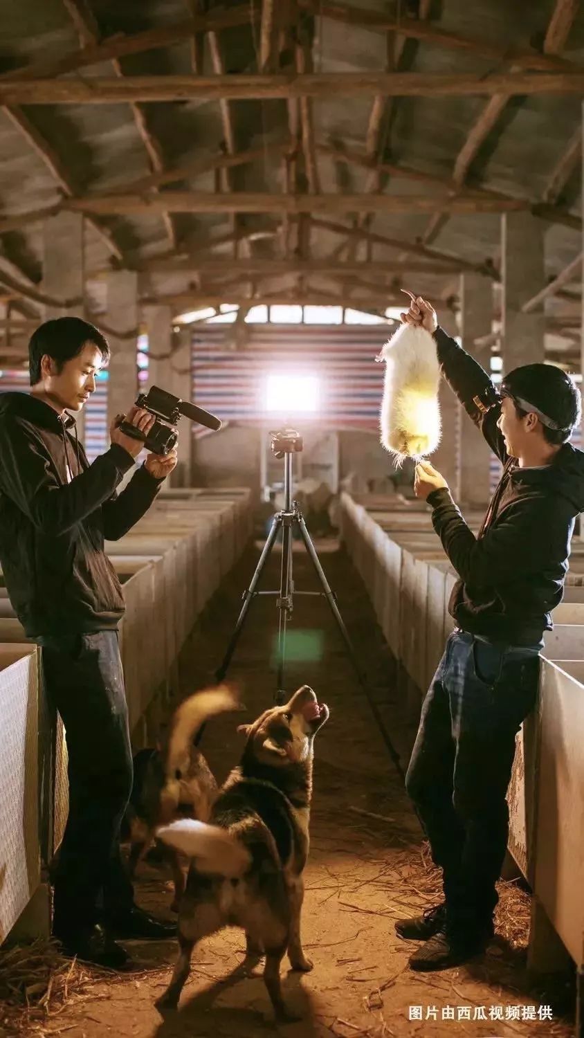 镜头不过界,生活不出圈丨睡前聊一会儿