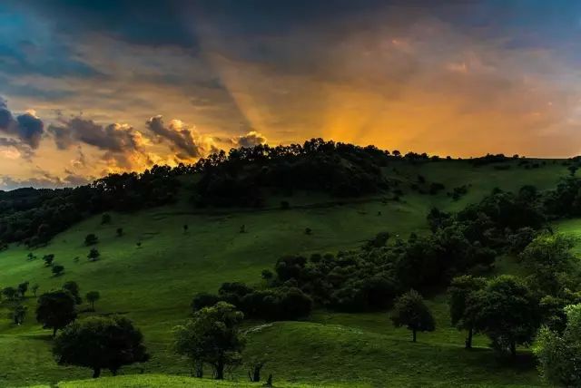 西安旅游景区直通车推出春节优惠,西安免费景点直通车