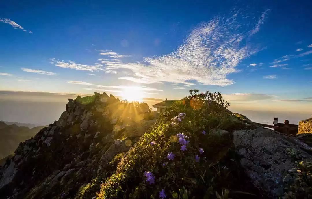西安旅游景区直通车推出春节优惠,西安免费景点直通车