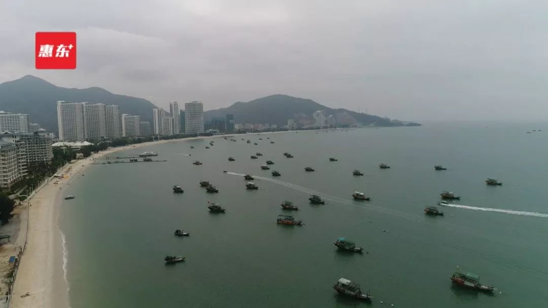 巽寮:“以节扬名”打造滨海旅游新亮点