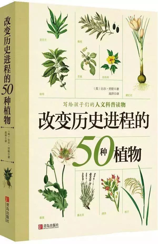 初中毕业前要读的20本书,初中毕业适合看什么书提升自己