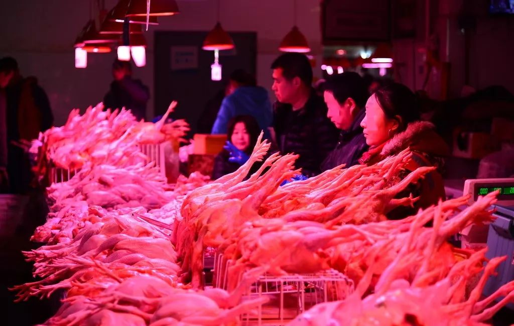 被吹上天却没有用的十种食物,被吹上天的食物没有什么价值